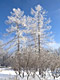 Прогулка Прогулка