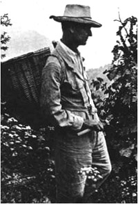 Терапия творчеством в жизни Германа Гессе. Григорий Канарш