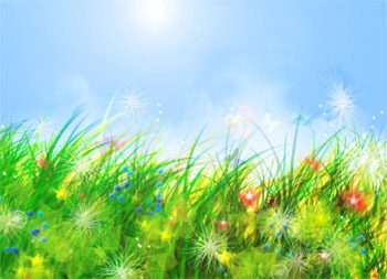 Поле моей надежды