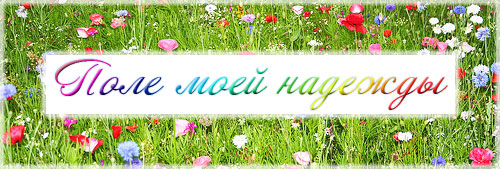 Поле моей надежды