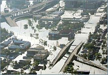 Мари Лаво - змеиная королева