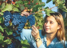 Секреты вожатых-3, или как быть