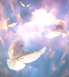 Маргарита Мураховская. Моя родная душа, найди меня!