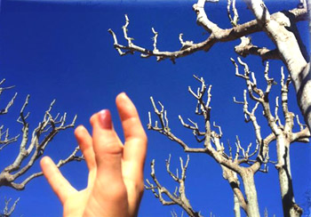 Остаться человеком