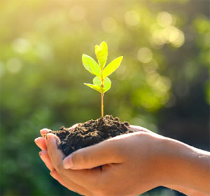 Остаться человеком