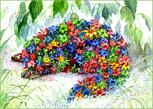 Полина Гавердовская. Бег по кругу и не только. Вопросы и ответы