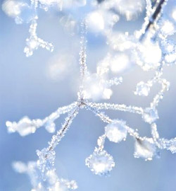 Взгляд из окна