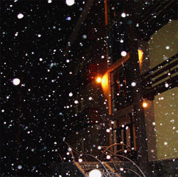 Взгляд из окна