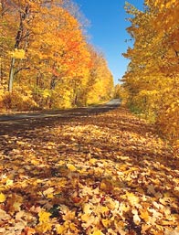 Осенняя тарантелла