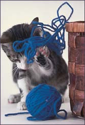 Чудо из дождя