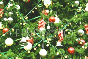 Сарабанда для сорняков