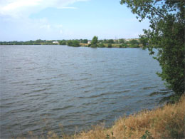 Людмила Морозова. Подруга Луна заглянула в окно