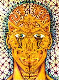 Время красных тюльпанов