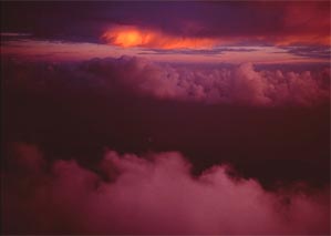 Время красных тюльпанов