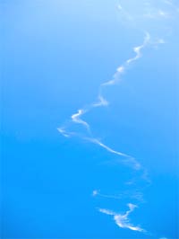 Время красных тюльпанов