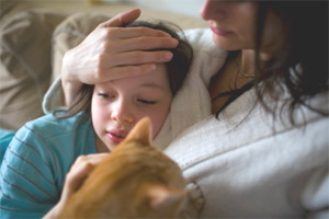 Принц на белом коне Принц на белом коне