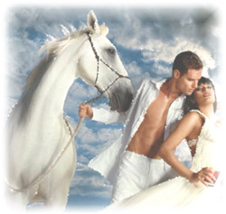 Принц на белом коне Принц на белом коне