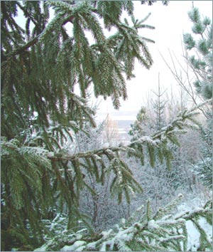 Под небом голубым Под небом голубым